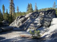 YosemiteSep07 006