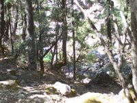 YosemiteSep07 019