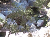 YosemiteSep07 020