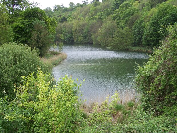 2007