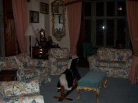 img 134