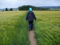 UK2011 010