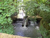 100_0694