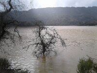 20190215_140056
