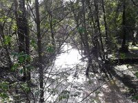 20190215_143545